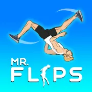 Mr Flips